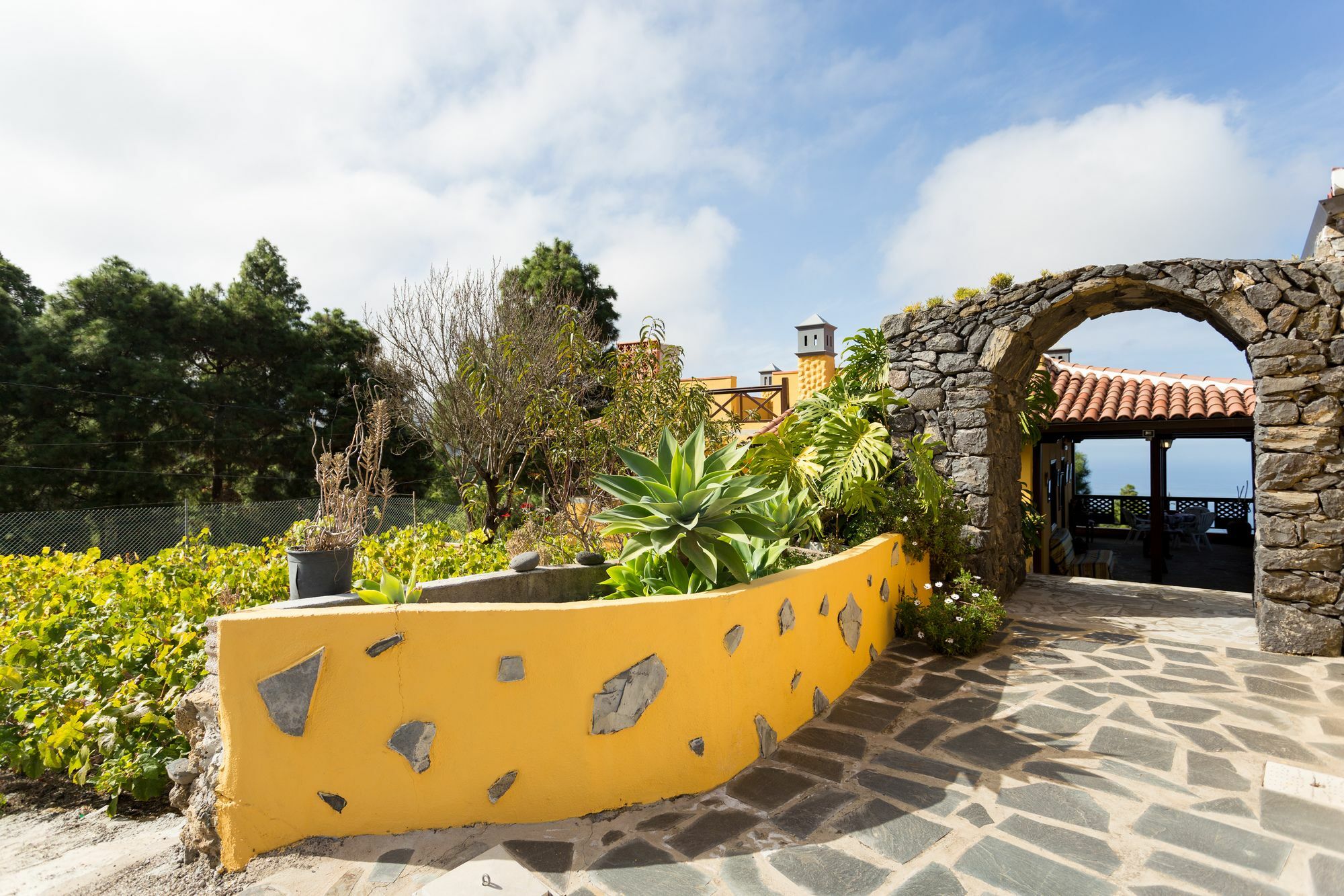 Finca Casa Yaya Icod De Los Vinos Exteriér fotografie