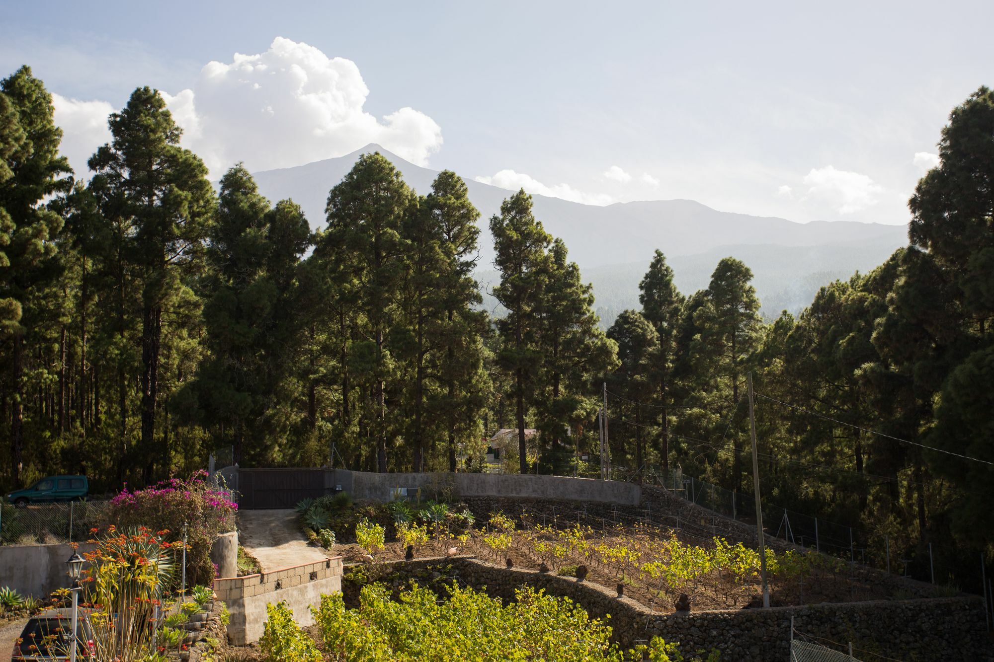 Finca Casa Yaya Icod De Los Vinos Exteriér fotografie