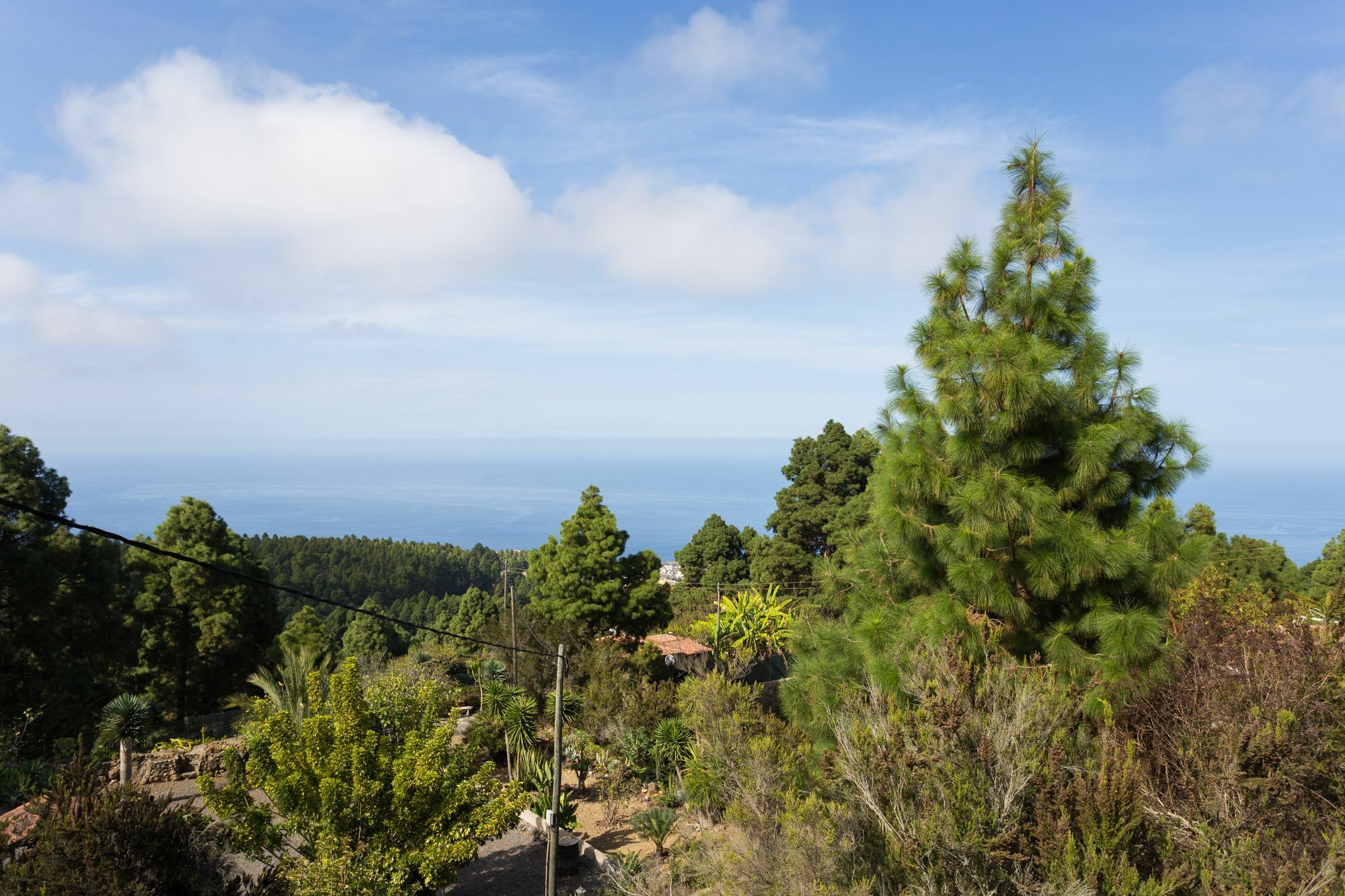 Finca Casa Yaya Icod De Los Vinos Exteriér fotografie